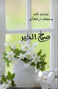 رهن • شارع التحدي • أرضي ١٠٠م
