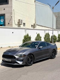 موستنك ايكو • ٢٠٢١ • الخضراء