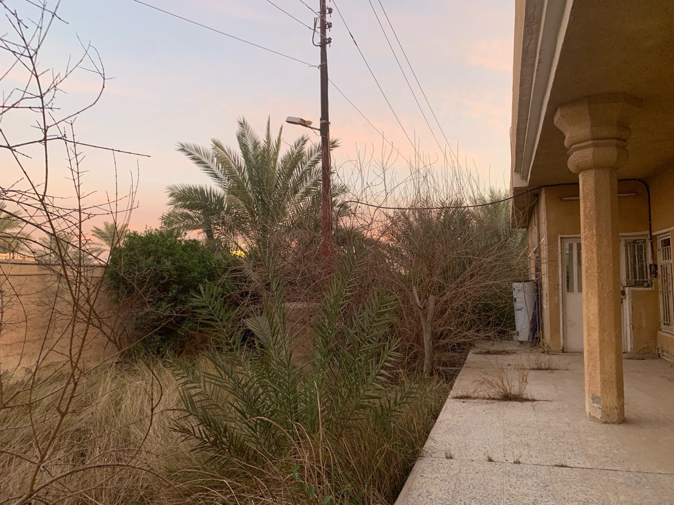 بيت مساحة ١٠٠٠م للبيع شبه متروك زراعي السعر ١٨٠ مليون دينار الموقع شمال بغداد التاجي شارع عمشة للتواصل ***********