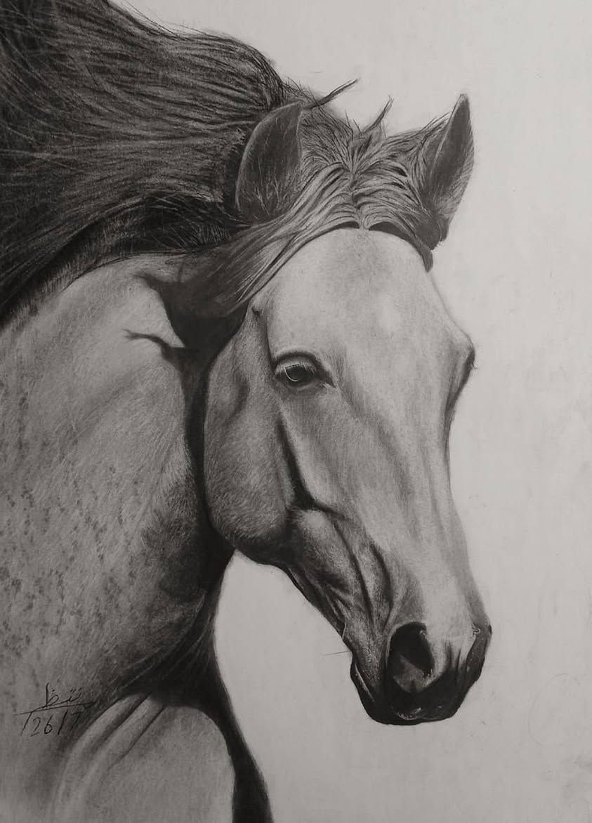 للبيع | 3 لوحات مرسومة بالفحم والرصاص، حجم A3
لوحة الحصان
لوحة زها حديد
لوحة الإمام علي (ع)

كلهن بـ 70 الف وي التوصيل طبعا

اللوحات مرسومة يدويًا، اني رسمتهن، اني رسام، لا AI  ولا بطيخ، مناسبة للديكور أو كهدية

المهتم يشتري تواصل خاص او على الواتساب رقمي ***********
