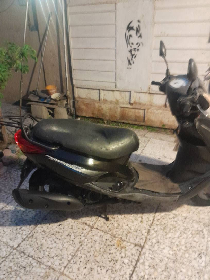 بغبغاء • ياباني • ٢١ الف