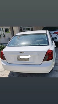 فورنزا • ٢٠٠٨ • مصبوغة