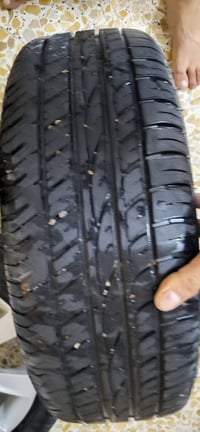 ويل كب اكسنت • حجم ١٦ • بغداد الحرية