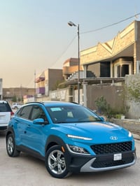 فول اوبشن • ٢٠٢٣ • نص جنطه صبغ