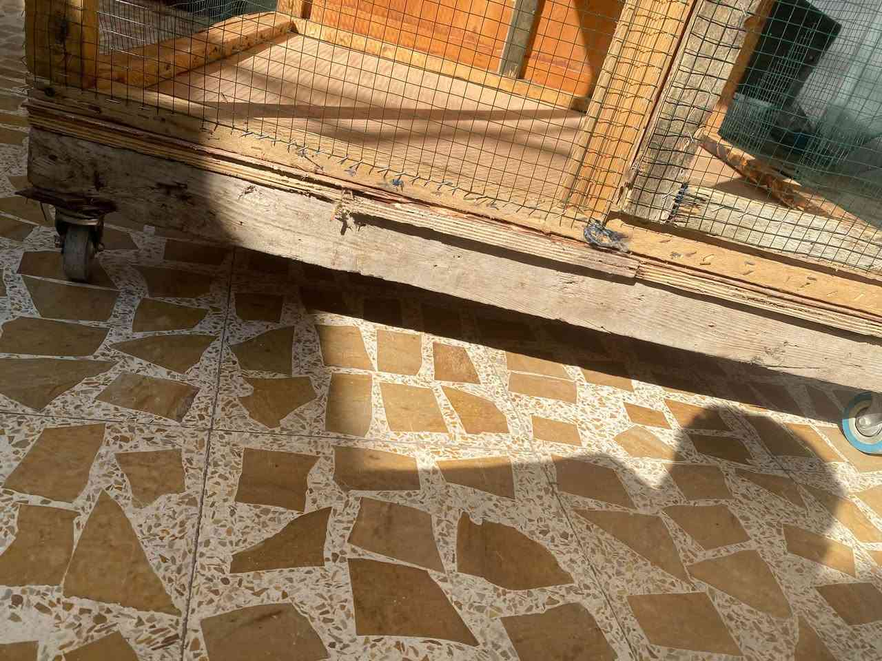 قفص • ماستخدم • خانتين