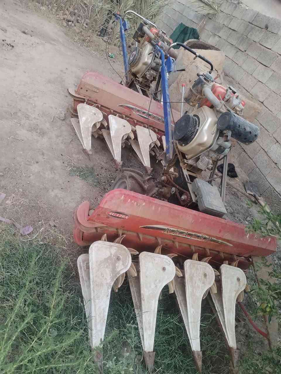 حاصوده للبيع ***********
