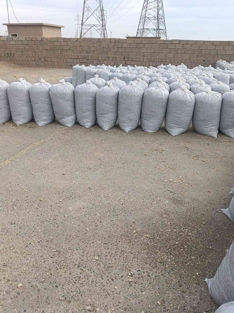 تم تجهيز طلبيات سيلاج الذرة عالي
الجودة للاخوانا في محافظاتنا العراقيه لهذا اليوم بتاريخ3/10/2026 🌾
​تعلن [مكتب وادارة ابو سجاد ] عن توفر سيلاج ذرة ممتاز بأعلى المواصفات والقيم الغذائية، بنسبة حبوب عالية  الجودة والنظافة لفترات طويلة. يساهم منتجنا بشكل مباشر في زيادة إنتاج الحليب واللحم مع توفير ممتاز في تكاليف الأعلاف. نوفر كميات جملة ومفرد بموازين دقيقة مع خدمة التوصيل والتحميل المباشر إلى جميع المحافظات  لجميع المزارعين ومربي الحلال.
📞 للحجز والاستفسار: ***********
***********
