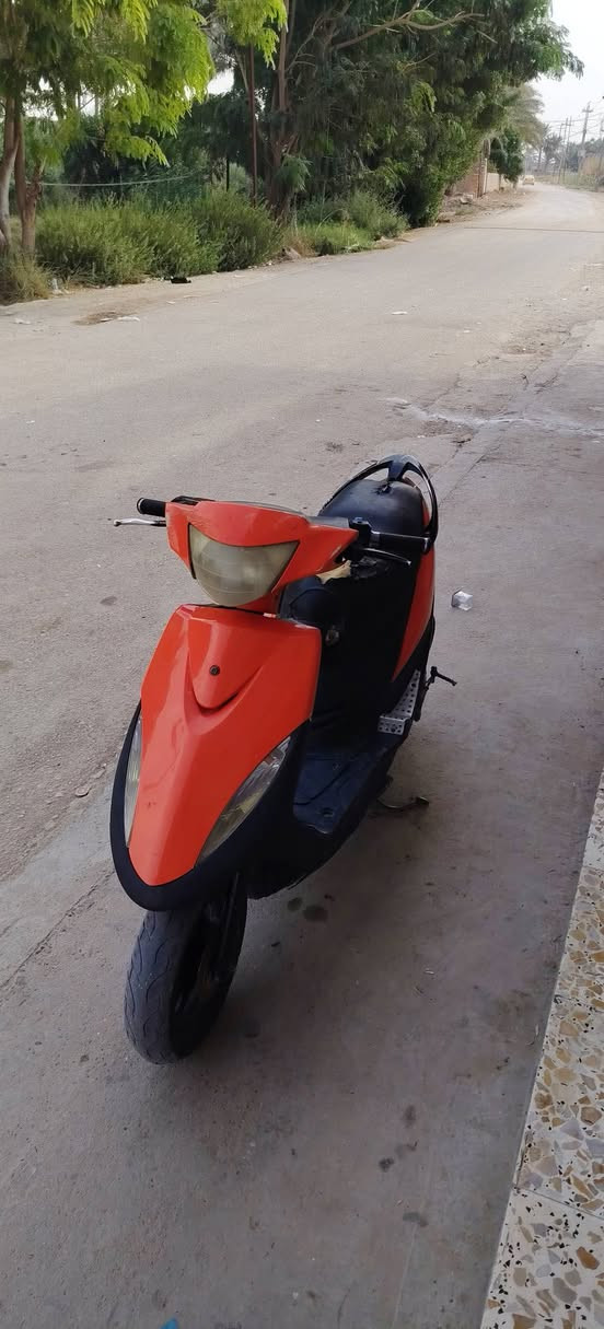 ماس • شلعة تخبل • كلجات رياضي