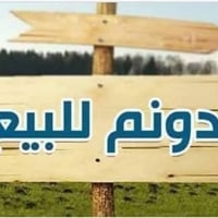 صخريجة الشرقية • ٢٥٠٠م • طابو زراعي