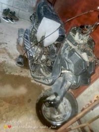 فراشة • ١٤٠ • الزعفرانيه