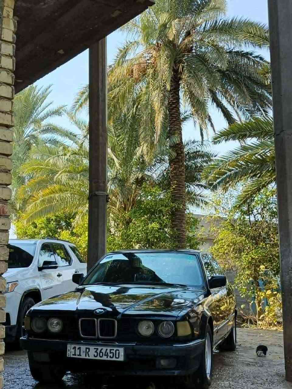 السلام عليكم 
بي ام دبليو 735 كير عادي يعني طيران وكبل للنجف 
رقم بغداد دولي بسمي مكينه وكير خير من الله 
بس تخابرني اوكعلك ورقه عل مكالمه السعر بلاشششش
28وبيهه مجال اتصل شتنتضرر اتصل يله اخوووي 
***********
