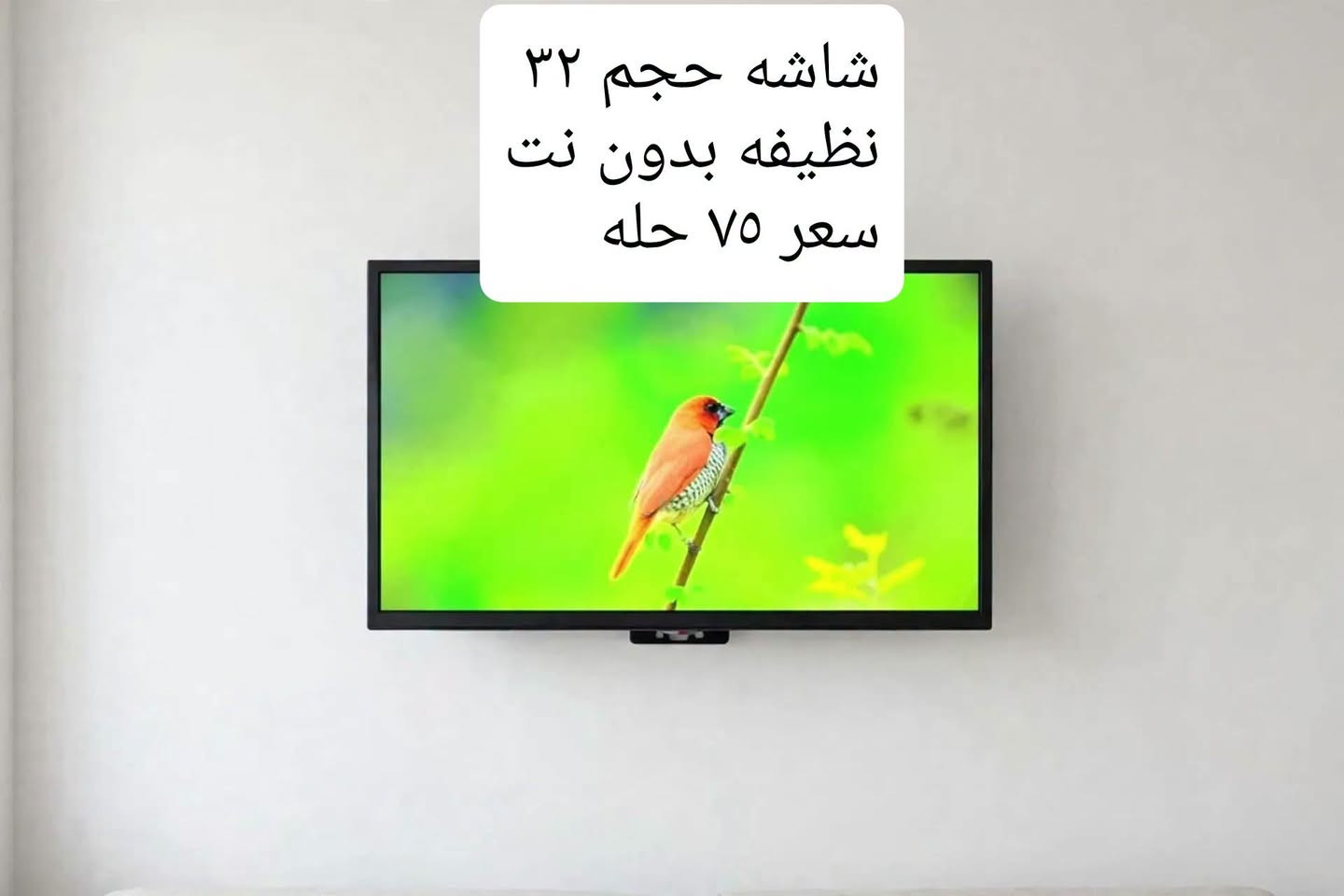بابل/مركز • شاشة ٣٢ • غرفة أخشاب