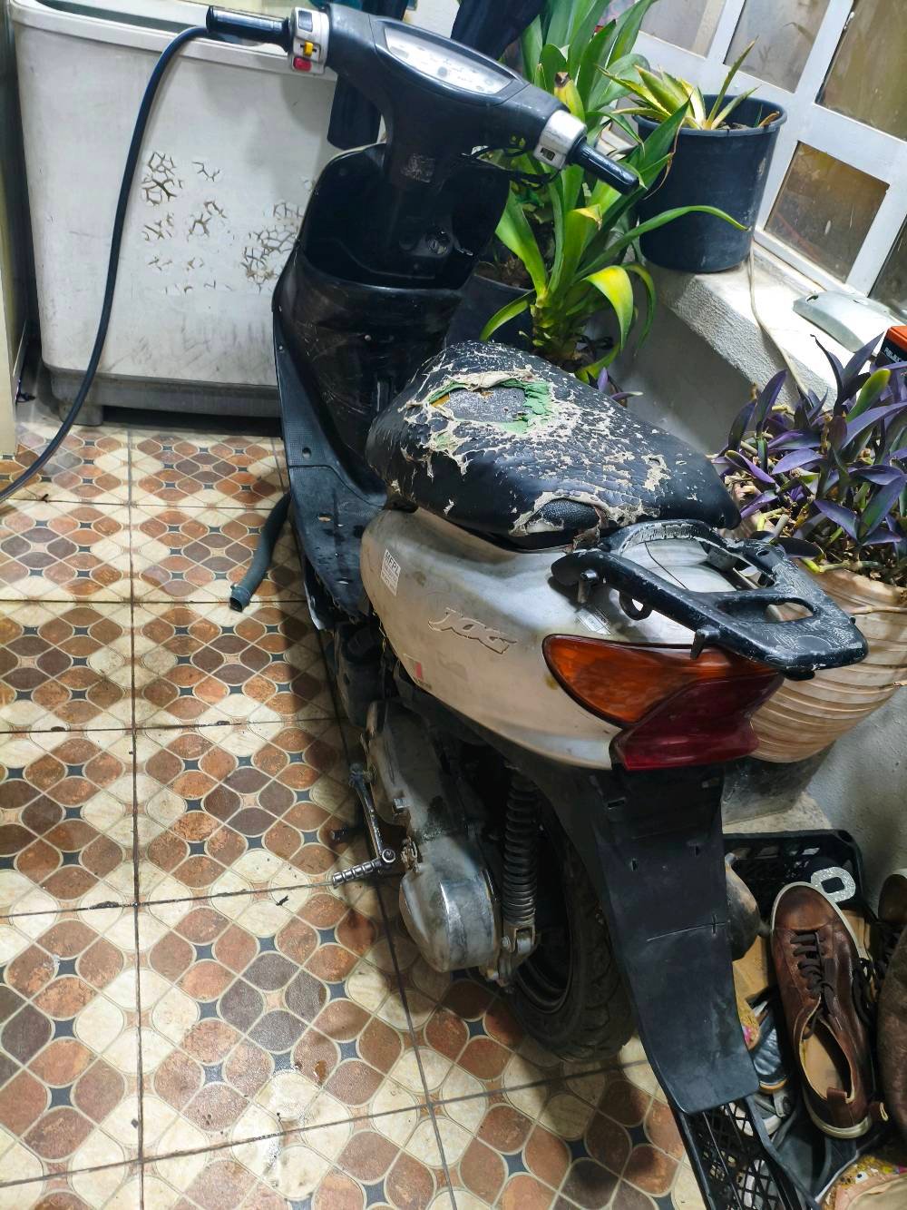 سلام عليكم  دراجه عصفوريه للبيع دراجه طبيت بطسه اوطفت السعر 100 بيها مجال تواصل واتساب  على  رقم ***********