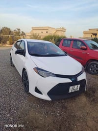 كورلا • ٢٠١٩ • رقم دولي