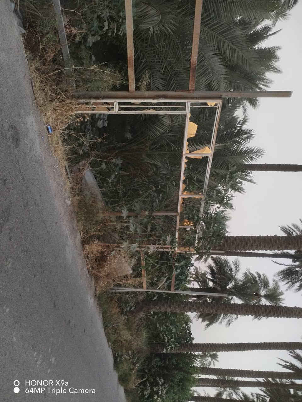 السلام عليكم بستان مساحته ٤٠٠ متر واجهه ١٤ يحتوي ع ٢٠ نخله و٢٠ حمضيات سند ٢٥ الموقع الدوره بوعيثه ع  السده ركن للاستفسار ***********
