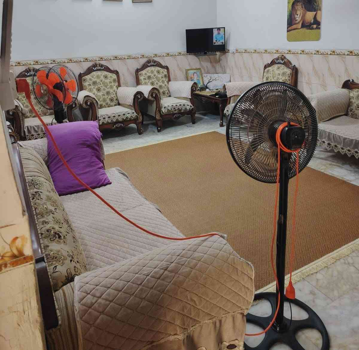 بابل المسيب • ٢٥٠م • طابو زراعي