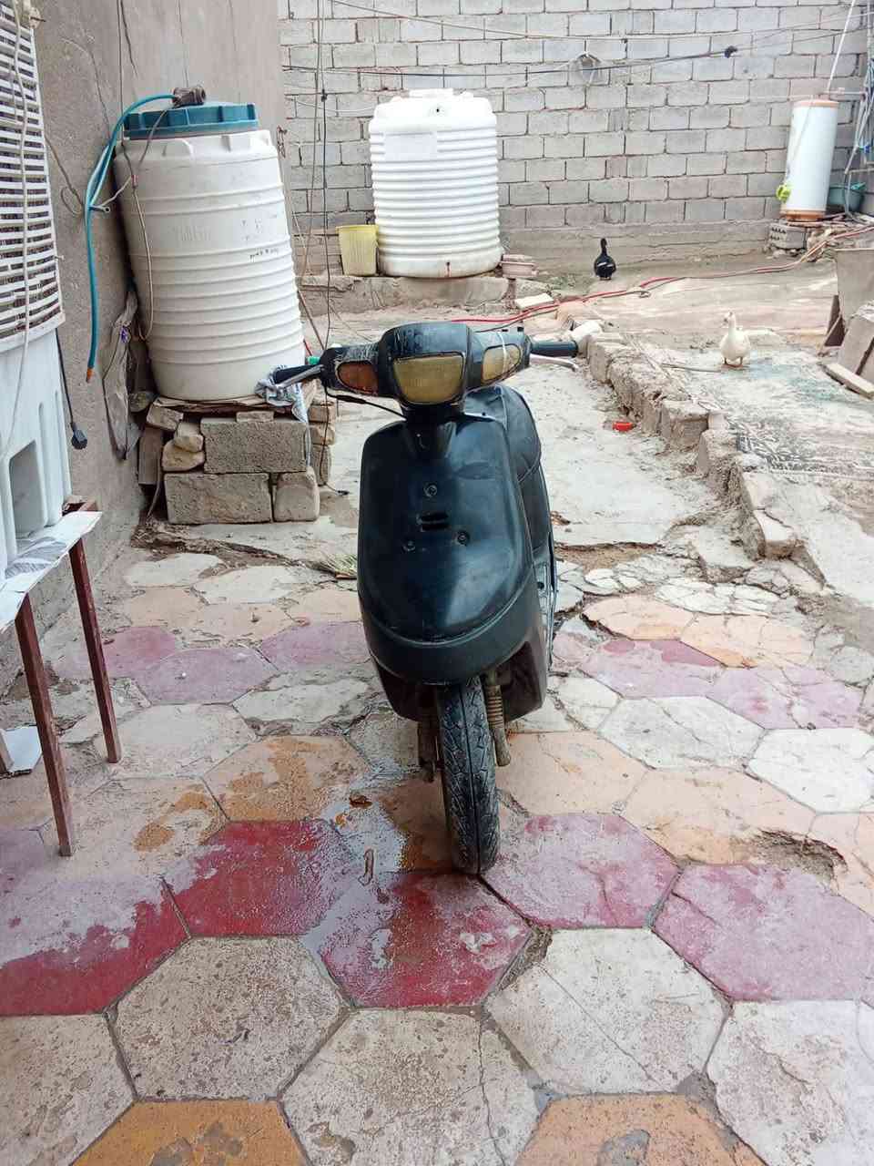 بطه • كربلاء • نقص كابريته