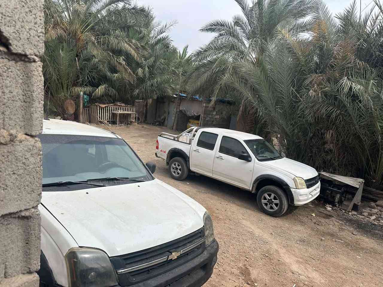 شوفر لوف • ٢٠٠٥ • ترقيم ديالى