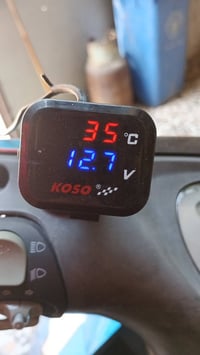 ثعلب • اصليات • مكفوله