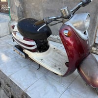 بباسكل • ياباني 27 • حسب القناعة