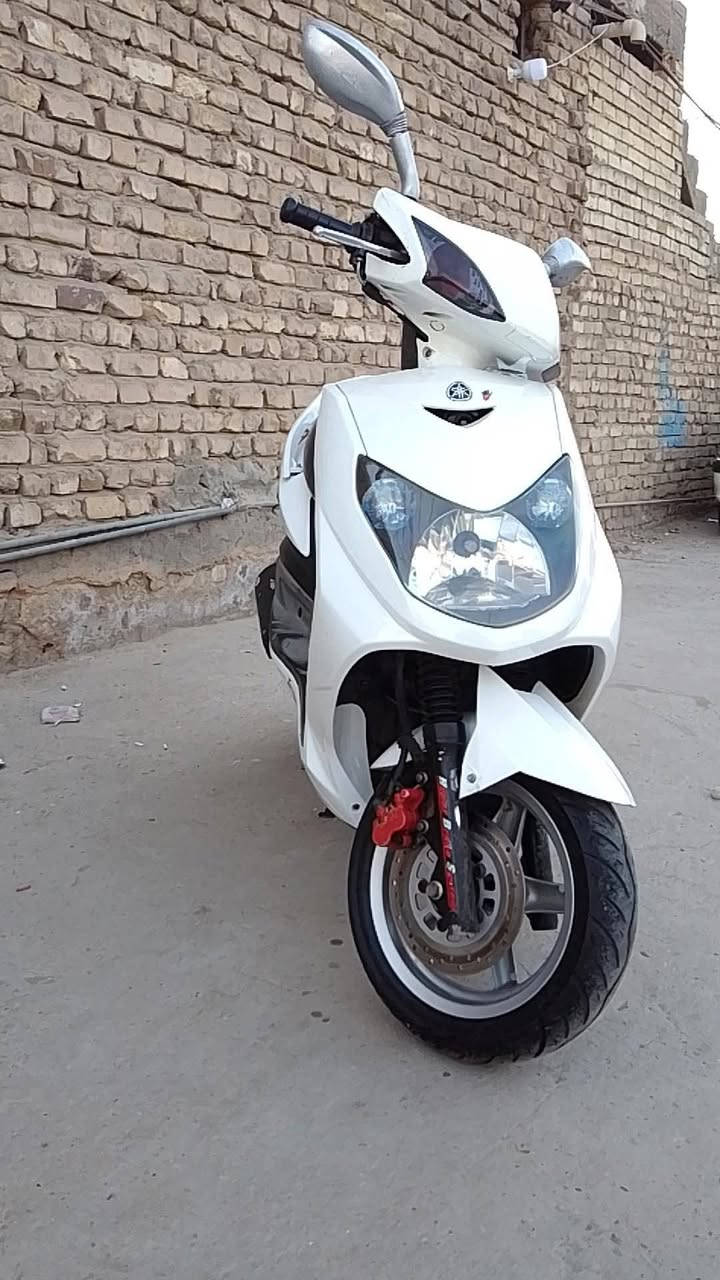 سلام عليكم اكرر النشر بسبب الوعود الكاذبه دراجه سكنس فحل دراجه كابريتر اي نقص مابيها دراجه مال ربه دراجه زوج تايرات جديده مكينه خرسه شلعه معدل اي نقص مابيه دراجه مكينته خرسه عنوان بغداد تقاطع درويش شراي خاص هاذه رقم بي واتساب ورصيد ***********

