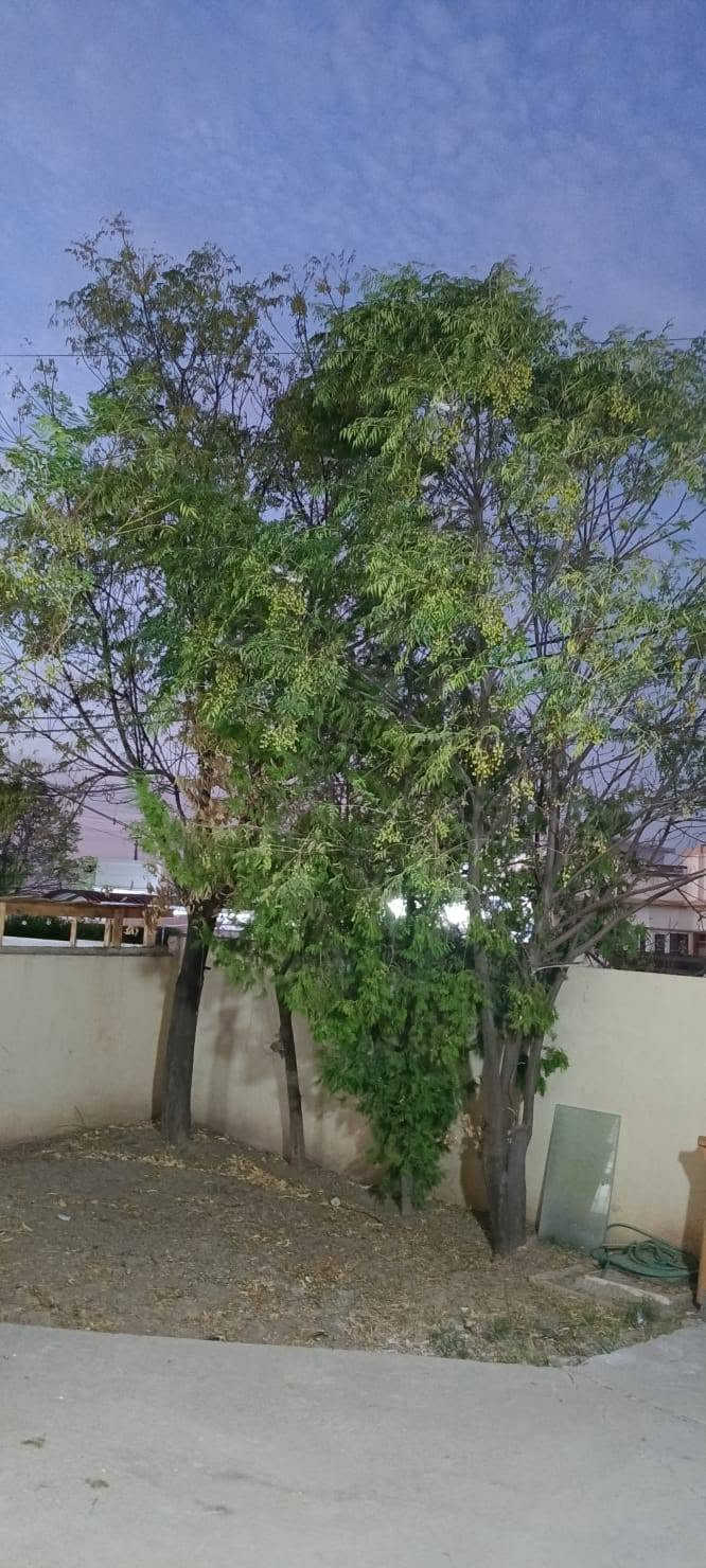 🏠 للبيع بيت سكني مميز في مجمع الزيتون

📍 الموقع: مجمع الزيتون، قريب من جامع دار السلام والمدرسة الكردية والأسواق، وقريب من جميع الخدمات.

📐 المساحة: 200 متر
🛏️ غرف النوم: غرفتان
🏡 الطابق: طابق واحد
🎨 الحالة: البيت مصبوغ حديثًا ونظيف جدًا، وجاهز للسكن.

💰 السعر: 7 دفاتر
🤝 يوجد مجال بسيط للتفاوض للجادين.

📞 للاستفسار والاتصال:
*********** كركوك, العراق
