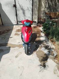 ماكس عدلة • جديدة • مكفولة