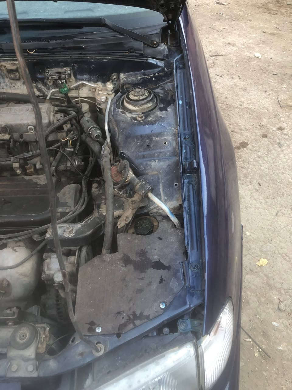 سلام عليكم النترا دمعه موديل 93 ديالى سنويه لــ 31 شرط التحويل  بيها خيط تبخير السعر ( 30 ) وبيها مجال ديالئ جلولاء للإستفسار الاتصال عالرقم 

***********
