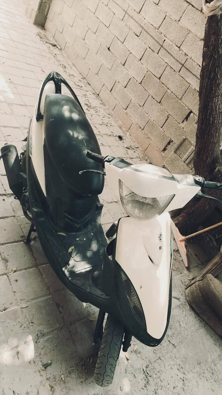ماكس • نضيفه • هندل كهربا