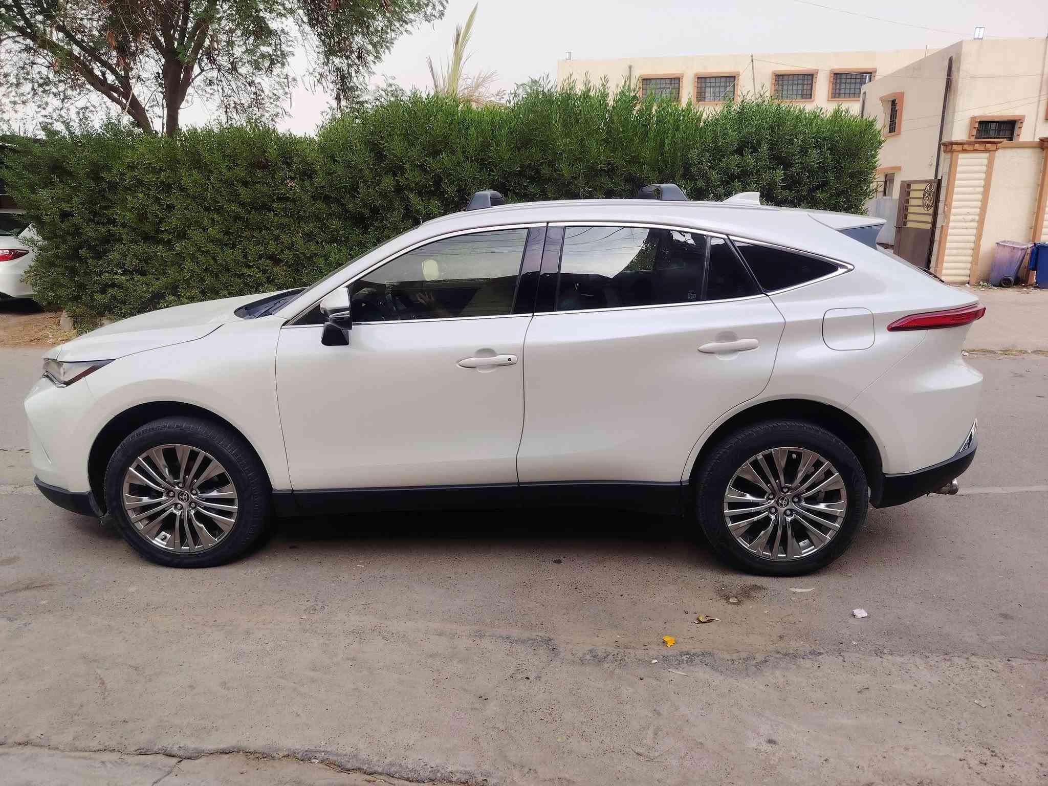 فينزا • ٢٠٢٢ • دعاميه اماميه