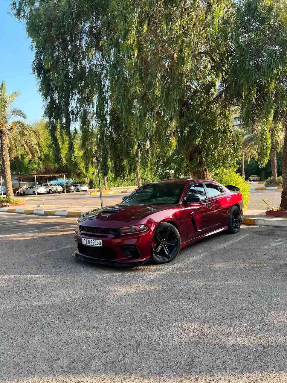 SXT بلس • ٢٠١٩ • فور ويل ملغي