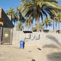 حله ورديه • طابو زاعي • ٣٠٠م