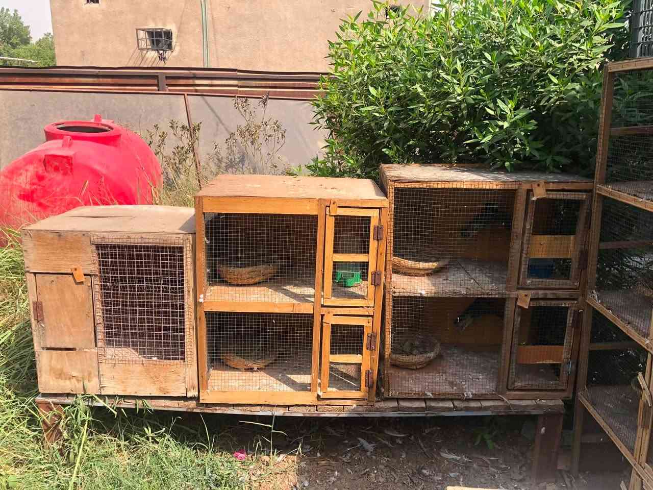 للبيع خانات مستعمله 14 مربع
مع ملحقات طواره وسلال 

مال تصفيه قيم بل يرضي الله 

مكاني بغداد السيديه خلف مدينه الالعاب . ***********
