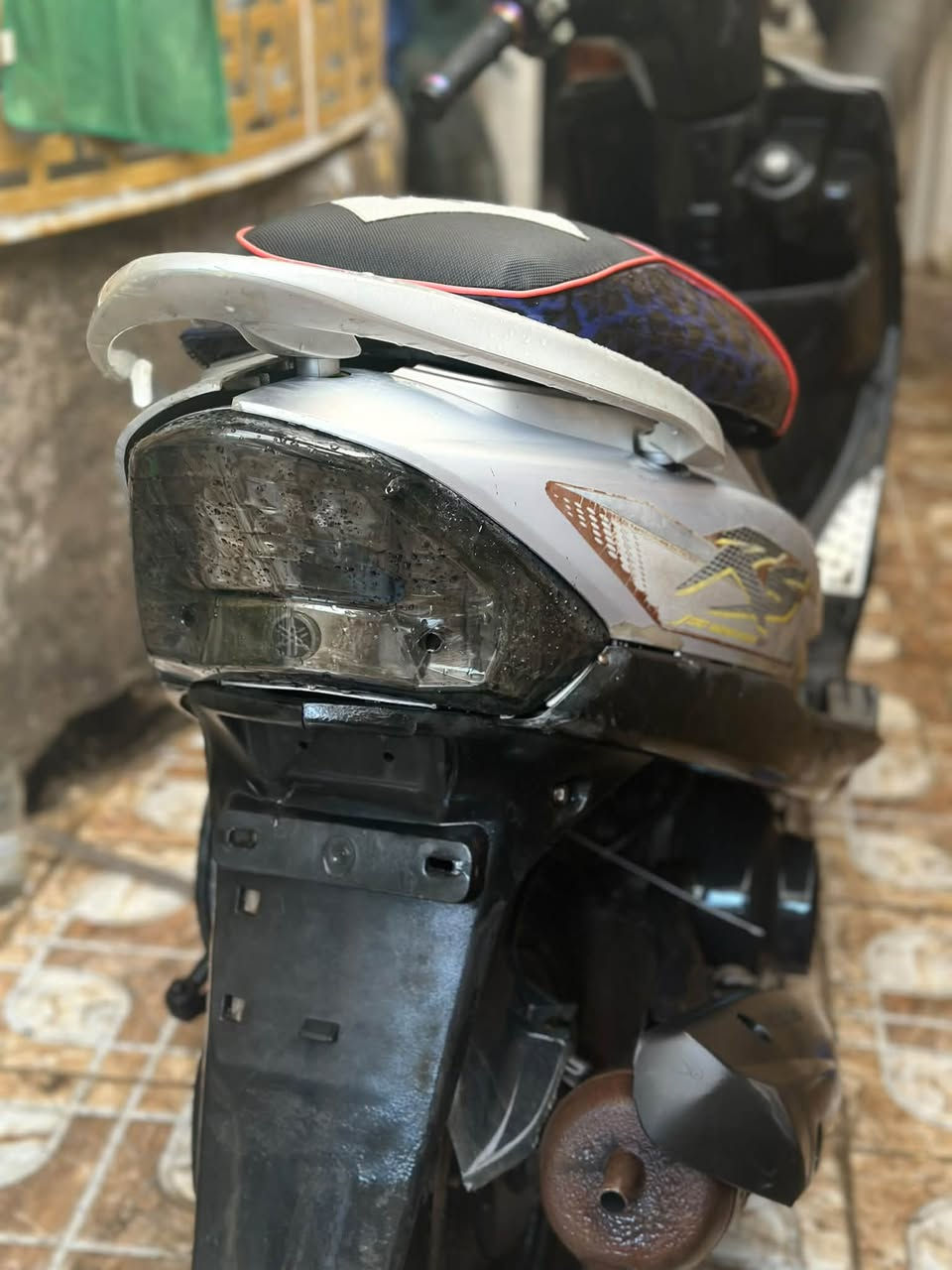 ماكس عدلة • نظيفة • سلف