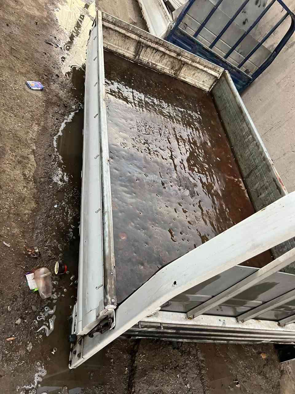 سلام عليكم بدي مال فحل مع بدي مال نثية للبيع المكان بغداد***********
