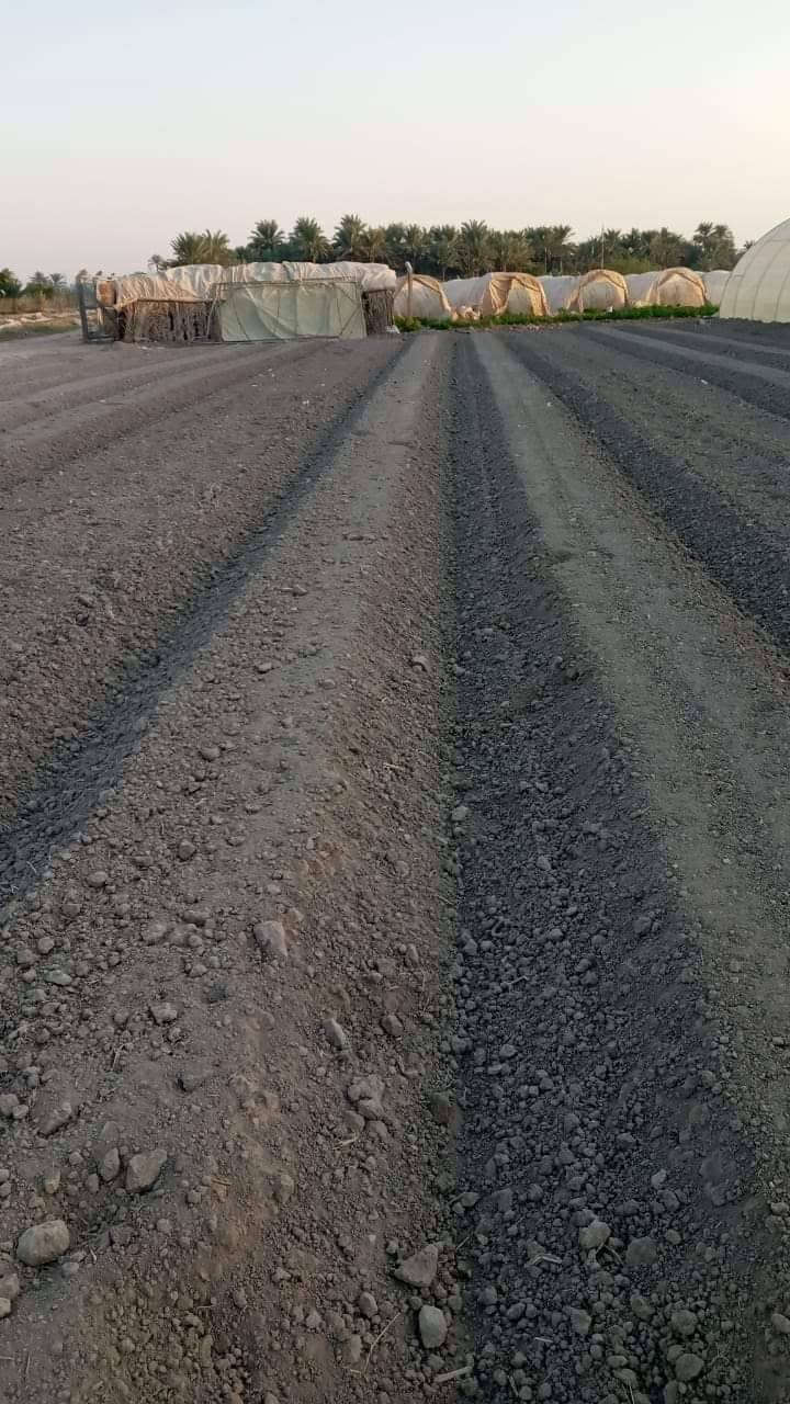 سلوم الحداد *********** وات
