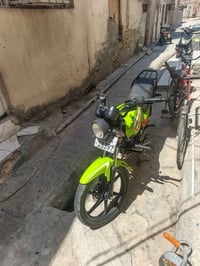 شايننك • 2023 • باسمي