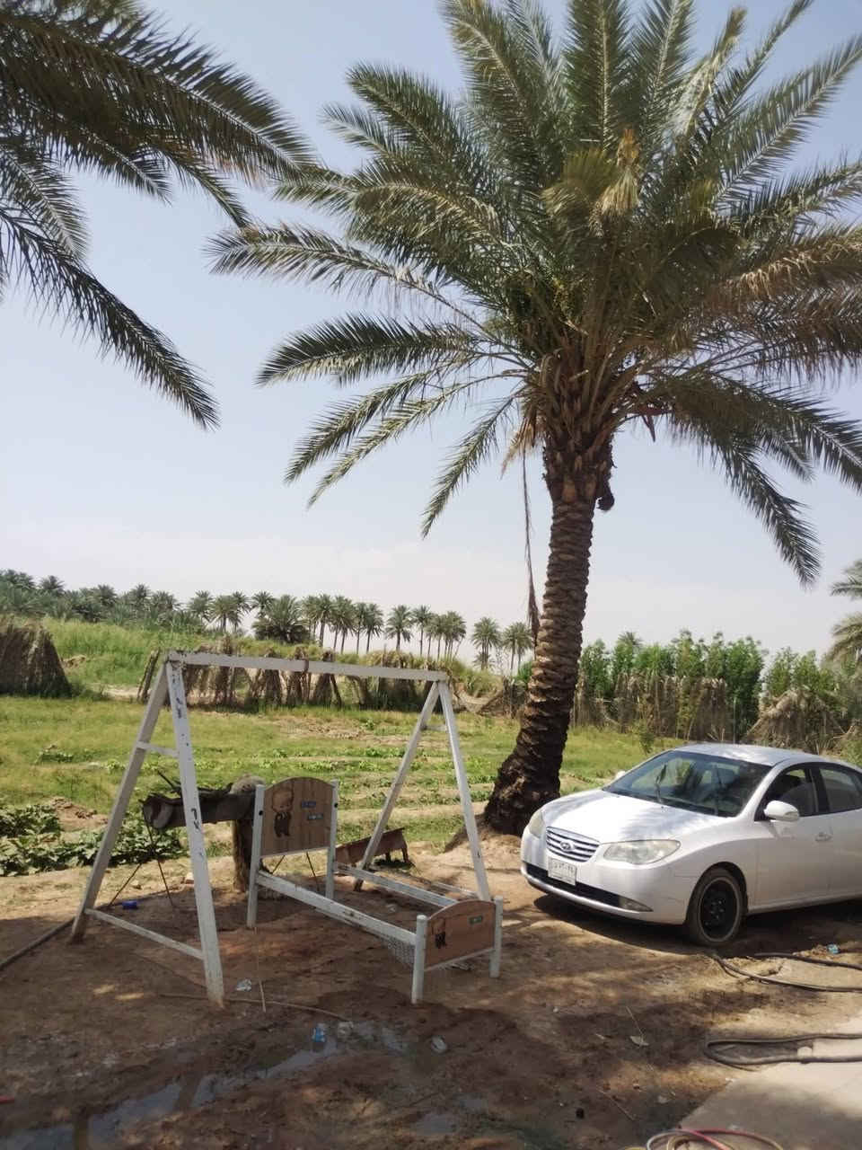 مزرعه مساحته دونم ونص المكان النعمانيه الكراده 
جنس الارض 117 
الاستفسار ‏‪***********‬‏
