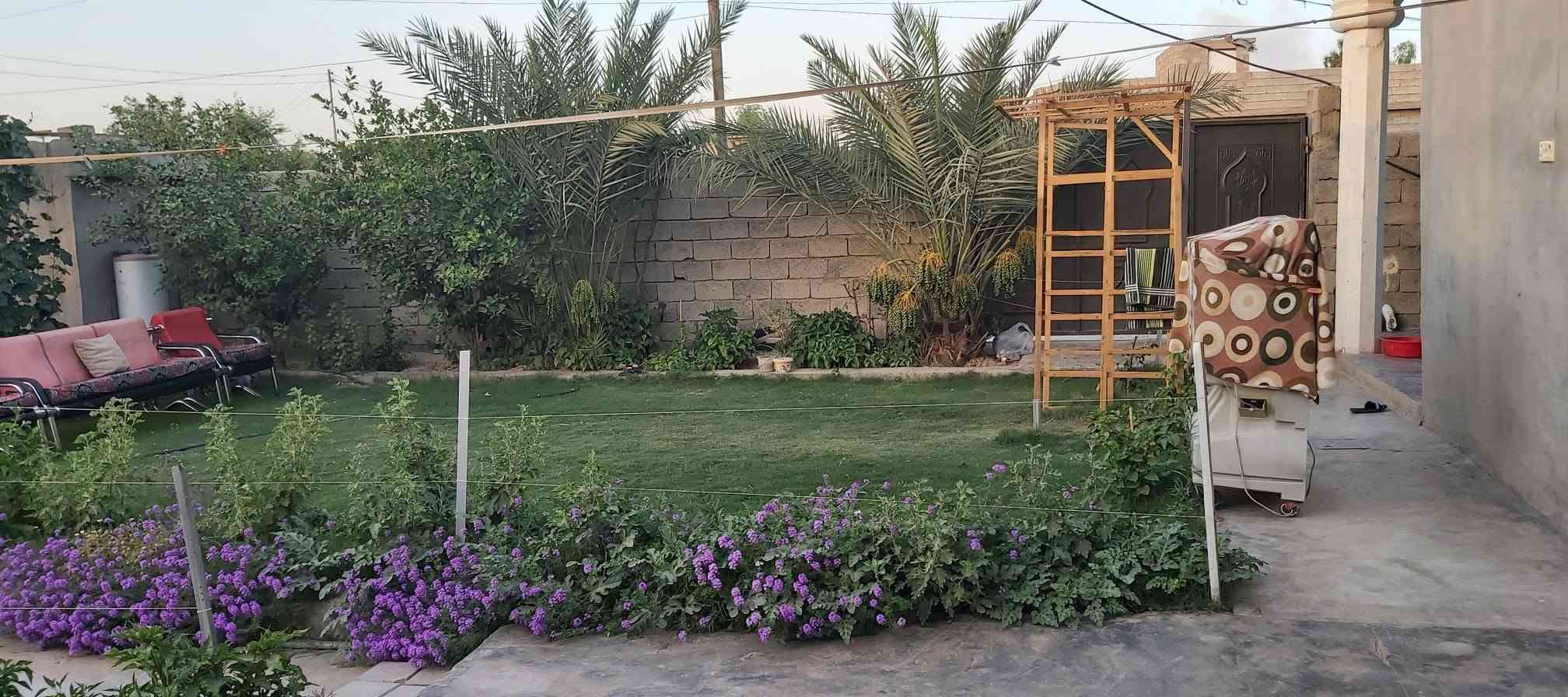 تل السوق العليا • ٣٦٠م • ٣ غرف نوم