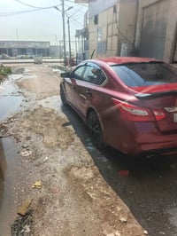 ماروني • ٢٠١٧ • رقم اربيل