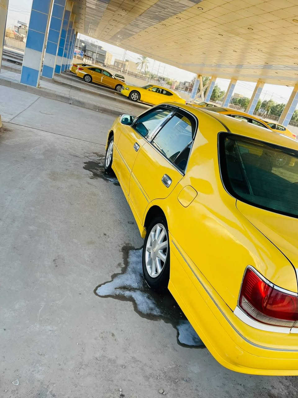 شاصي ٧٥ • ٢٠٠٣ • قاسم بغداد