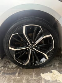 طاير ويل • قياس ١٩ • ٢٠٢٢
