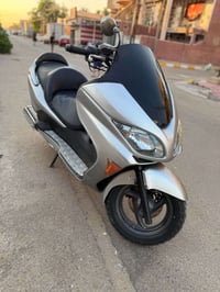 فورزة • جديد • أوراق