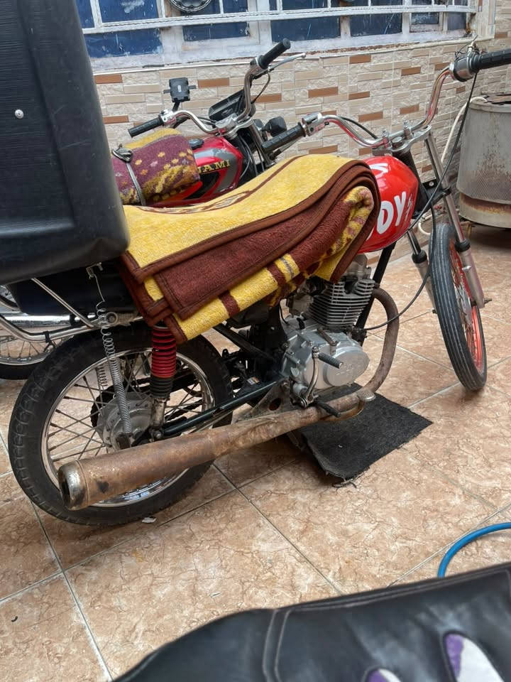 نمامه • ستوته • مكفوله