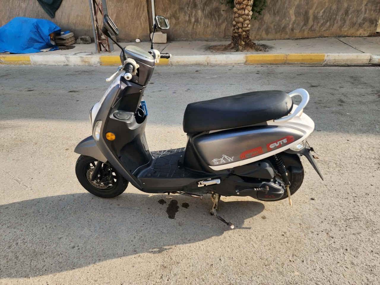 بوليسي • ٢٢ • ياباني