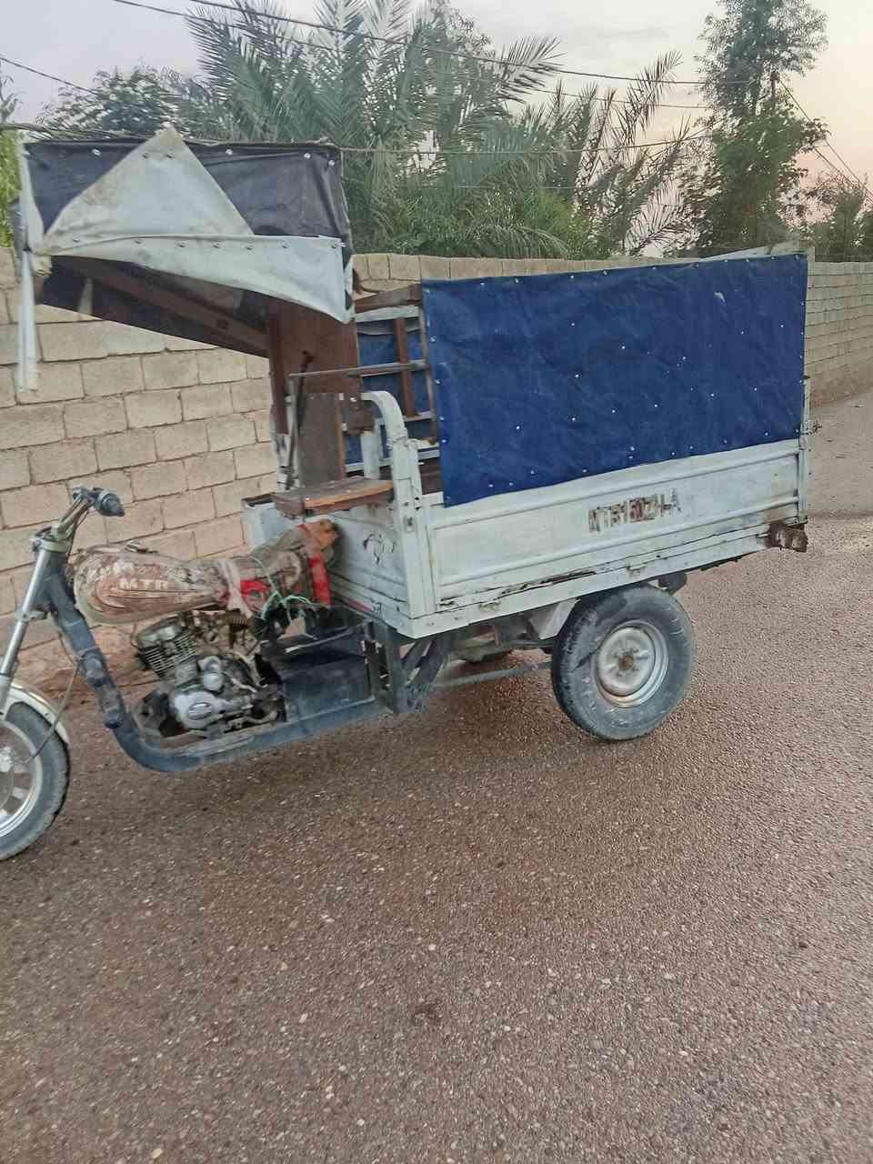 ستوته • بدون وراق • كنعان ديالى