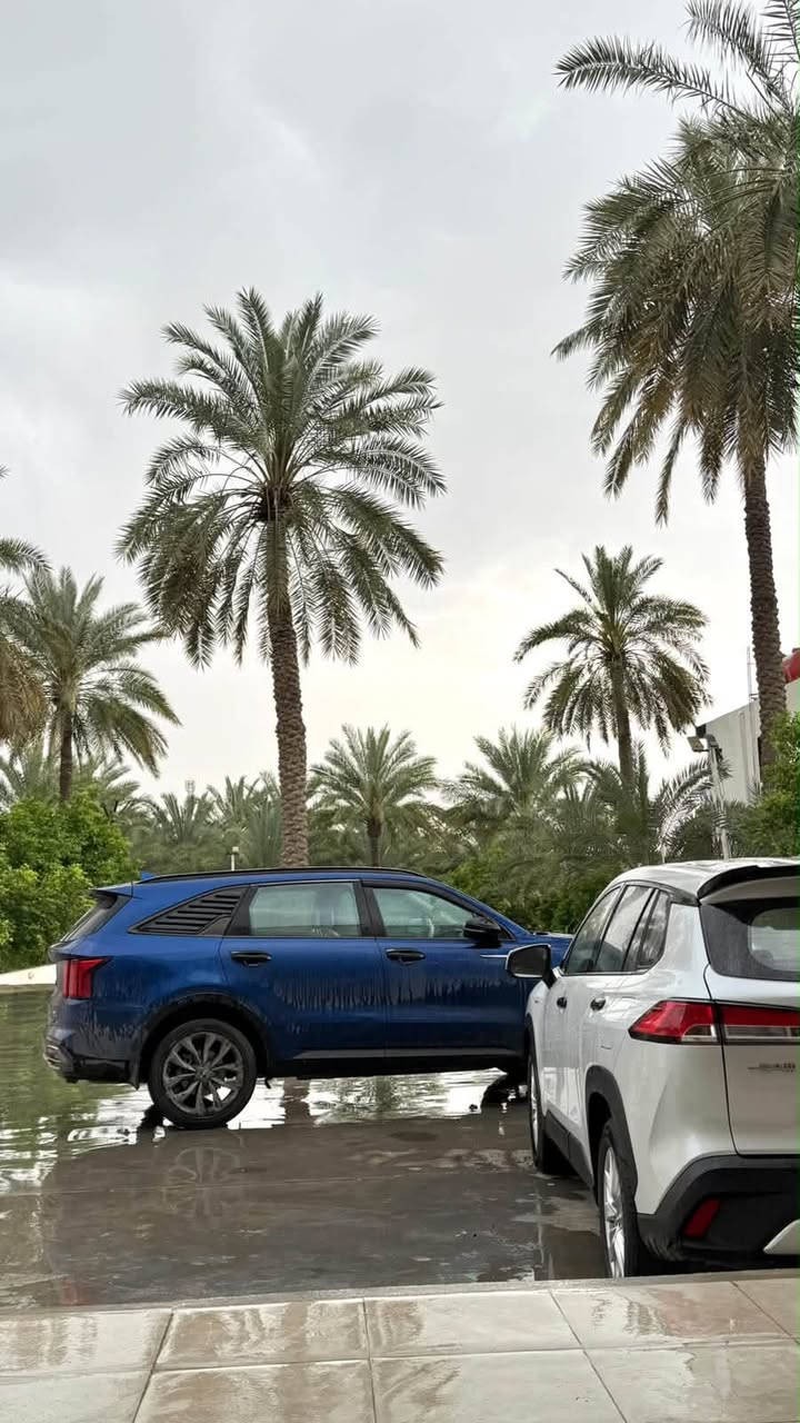 سورنتو VIB • ٢٠٢٣ • رقم بغداد