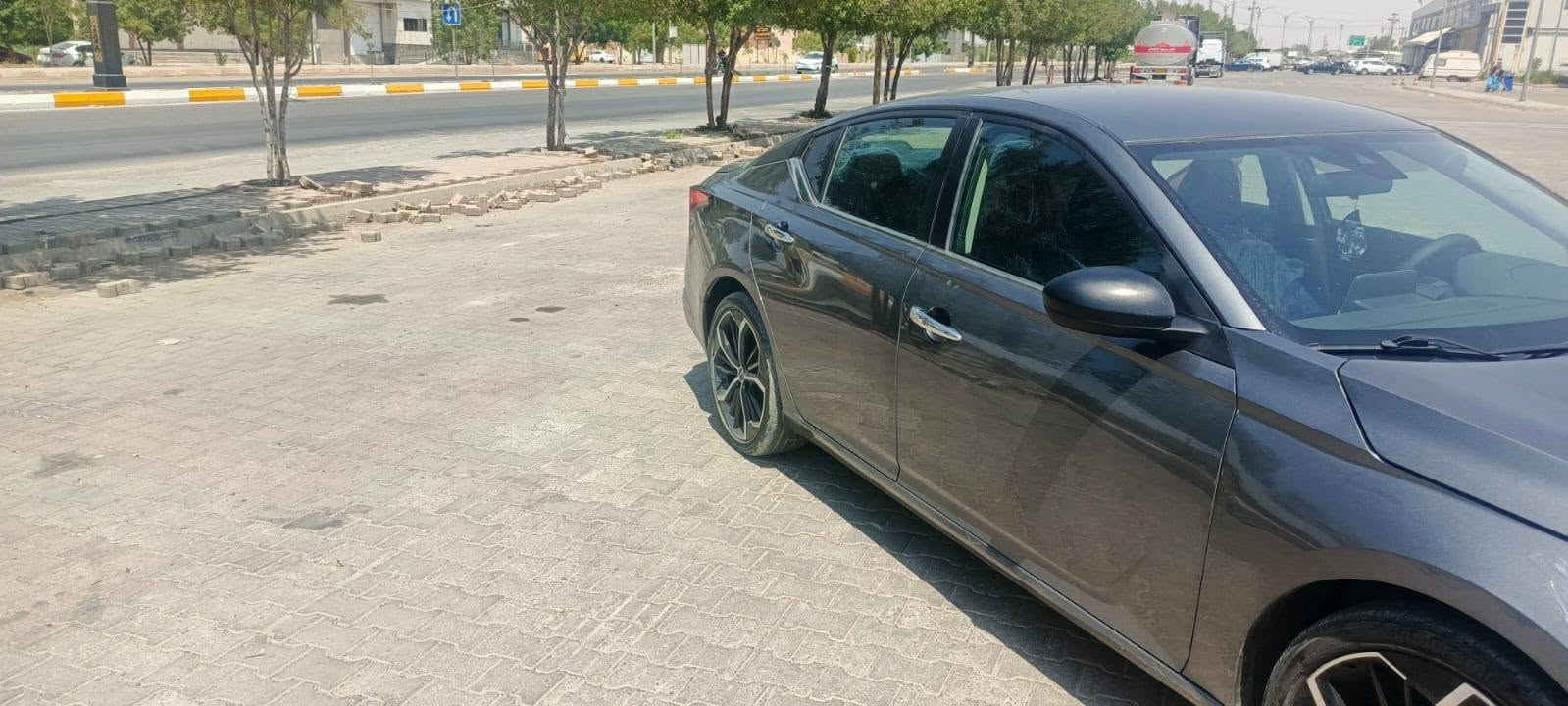 التيما SV • ٢٠٢٤ • بدون صبغ
