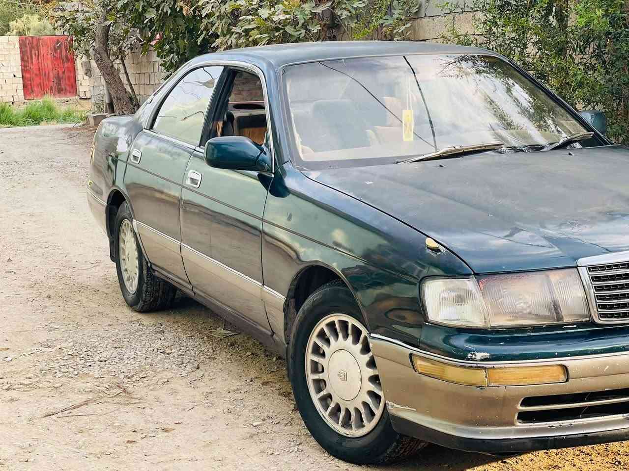 بطة • الأسود مراوس • حديثة
