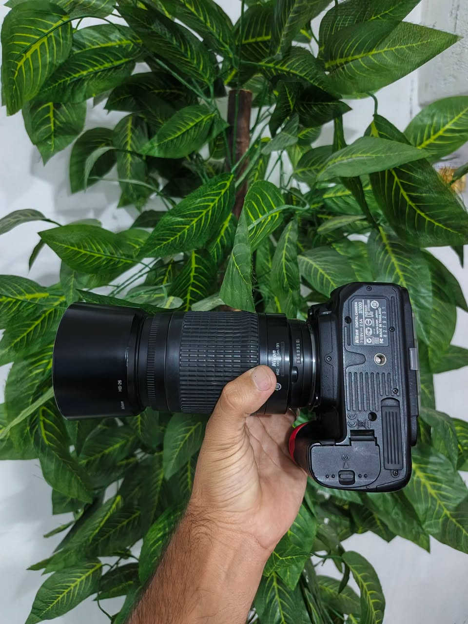 نيكون D7000 • زووم 70-300 • ساحة عدن